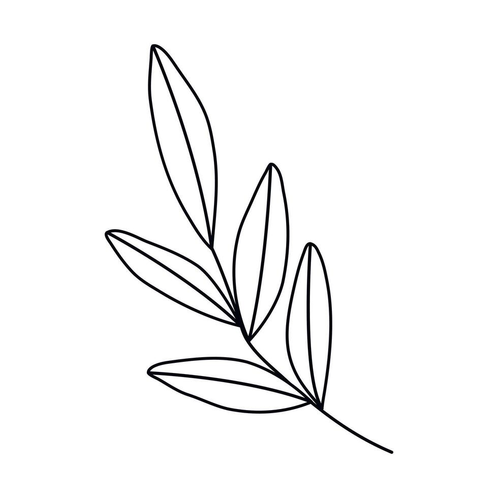 Hand drawn sketch leaf isolated on white background vector