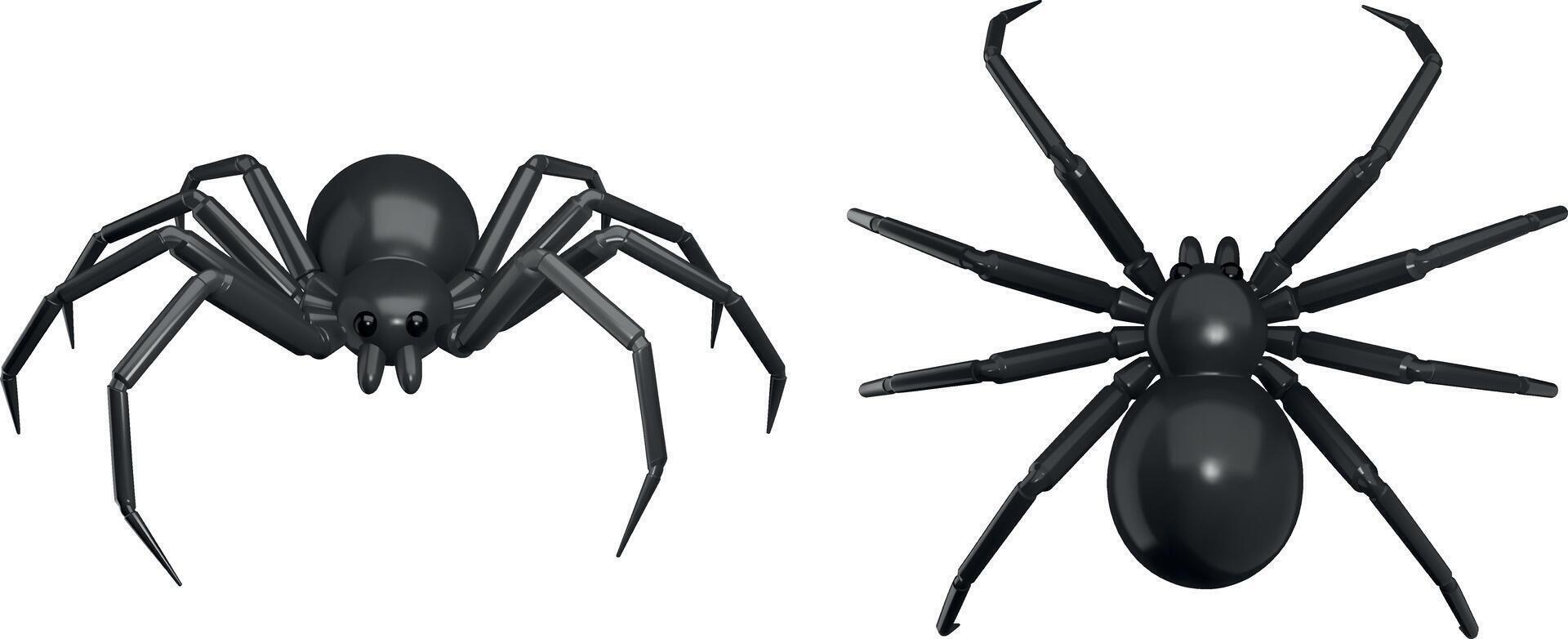 isolated spider top and front view. 3d spider vector