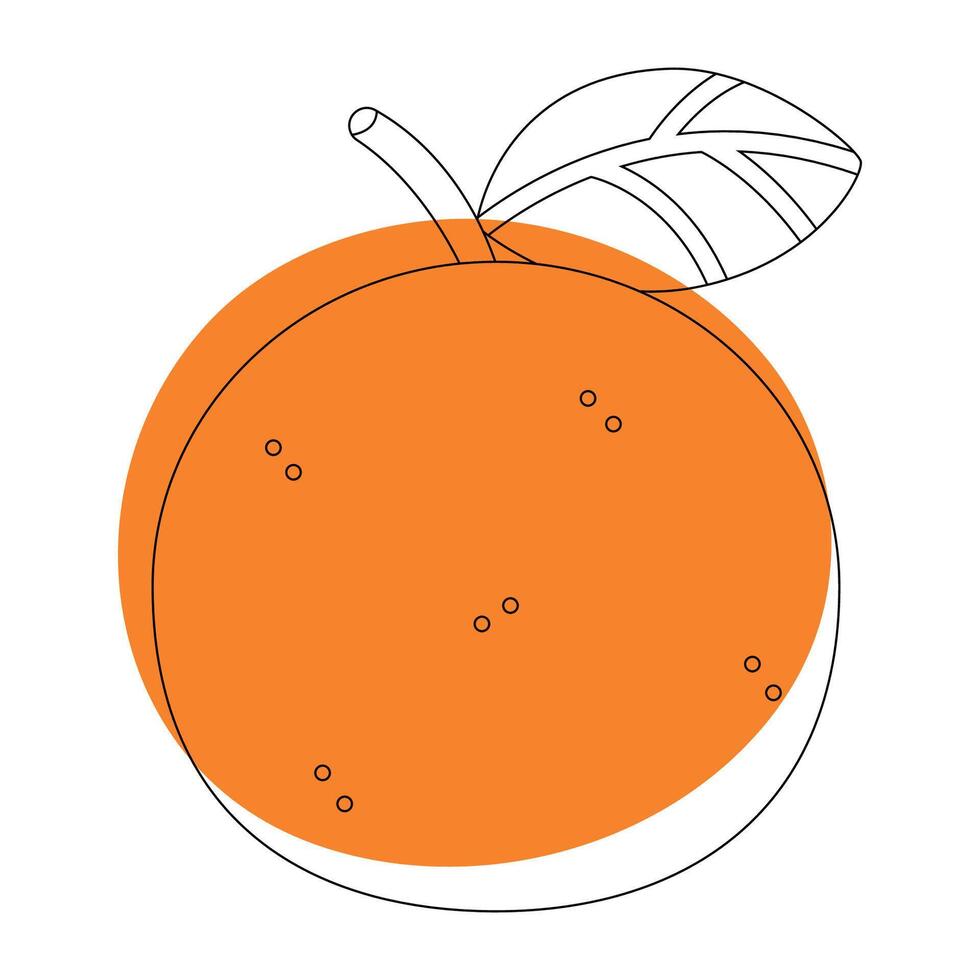 Orange in simple doodle style vector