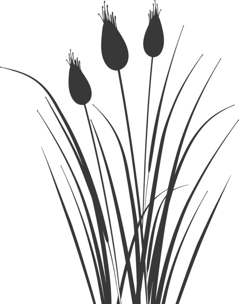 minimalist line art icon black water reed plant cattails leaf logo symbol vector