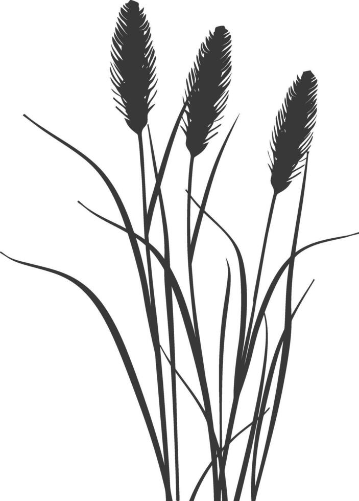 minimalist line art icon black water reed plant cattails leaf logo symbol vector