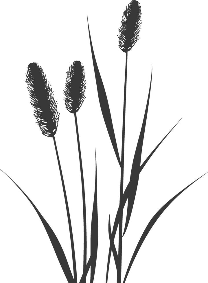 minimalist line art icon black water reed plant cattails leaf logo symbol vector