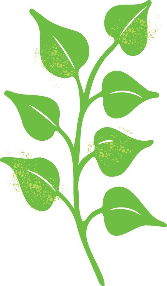 Light-green twig with heart-shaped leaves, herb vector