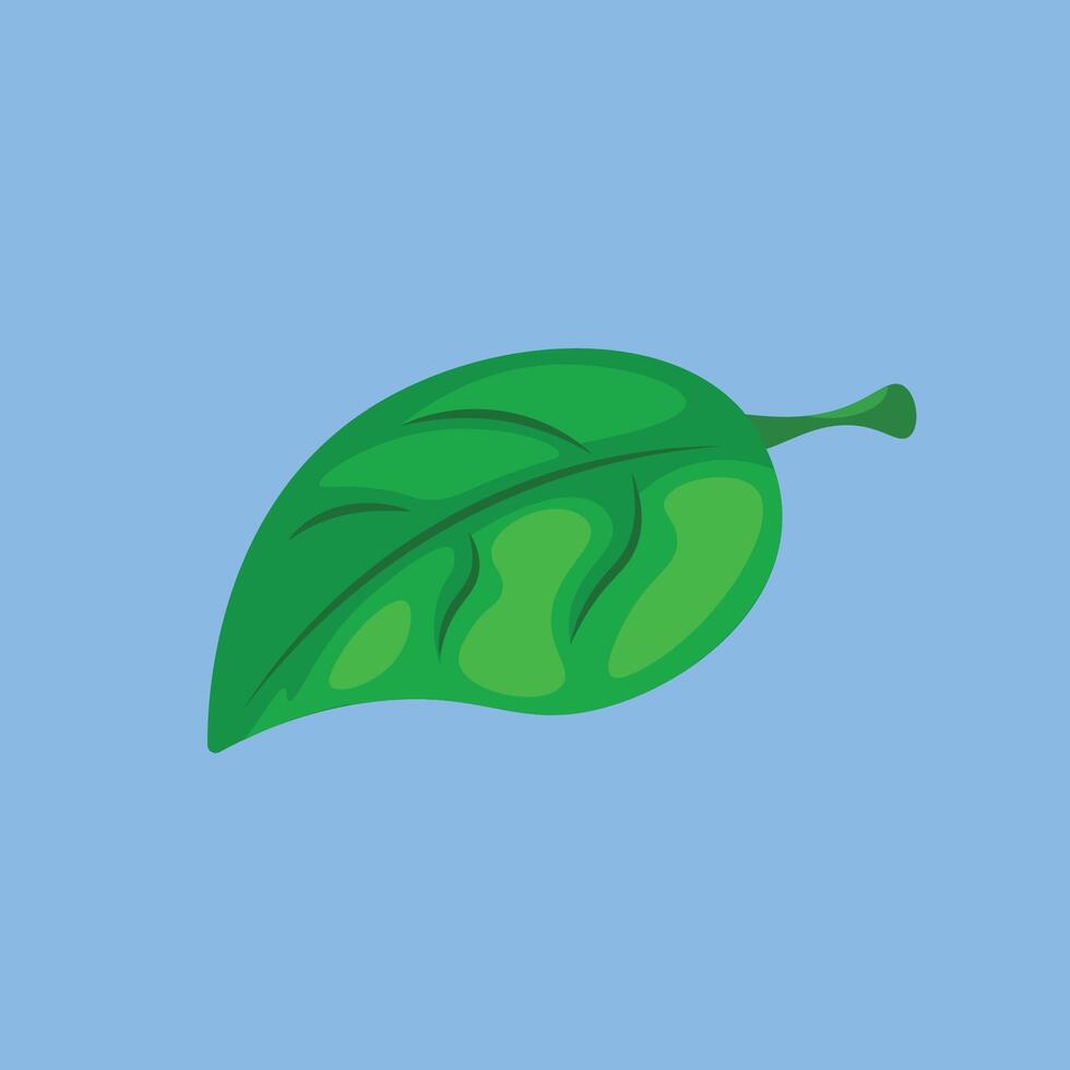 single leaf in design. vector
