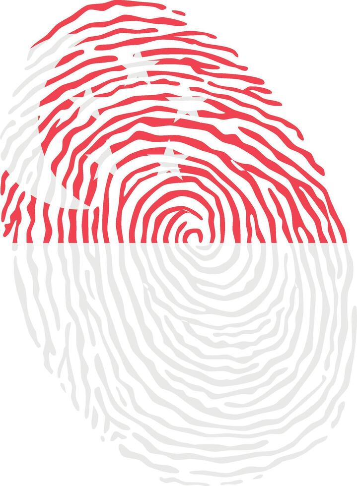 Fingerprint colored with the national flag of Singapore vector