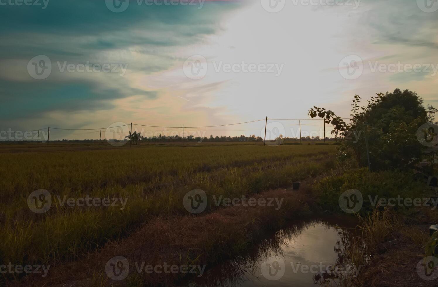 The sunset casts a golden hue over the scenic landscape, nestled within lush paddy fields, creating a picturesque setting that attracts tourists. photo