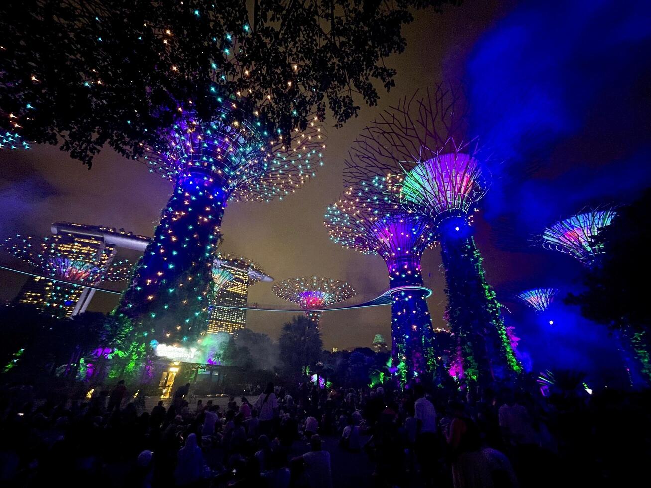 The Gardens By The Bay illuminated light show the supertree to life with a colourful light show to music Singapore 10 July 2024 photo