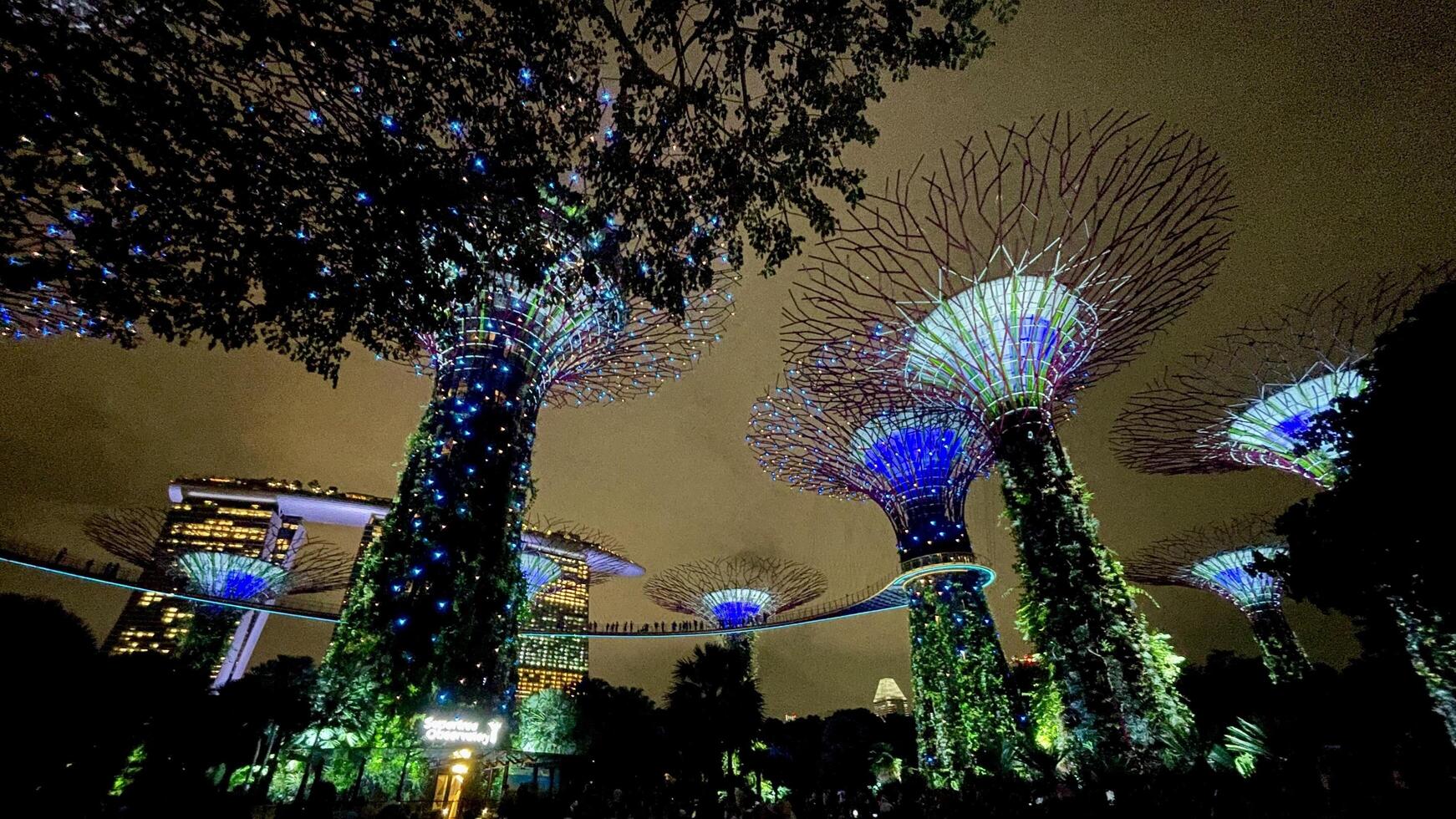 The Gardens By The Bay illuminated light show the supertree to life with a colourful light show to music Singapore 10 July 2024 photo