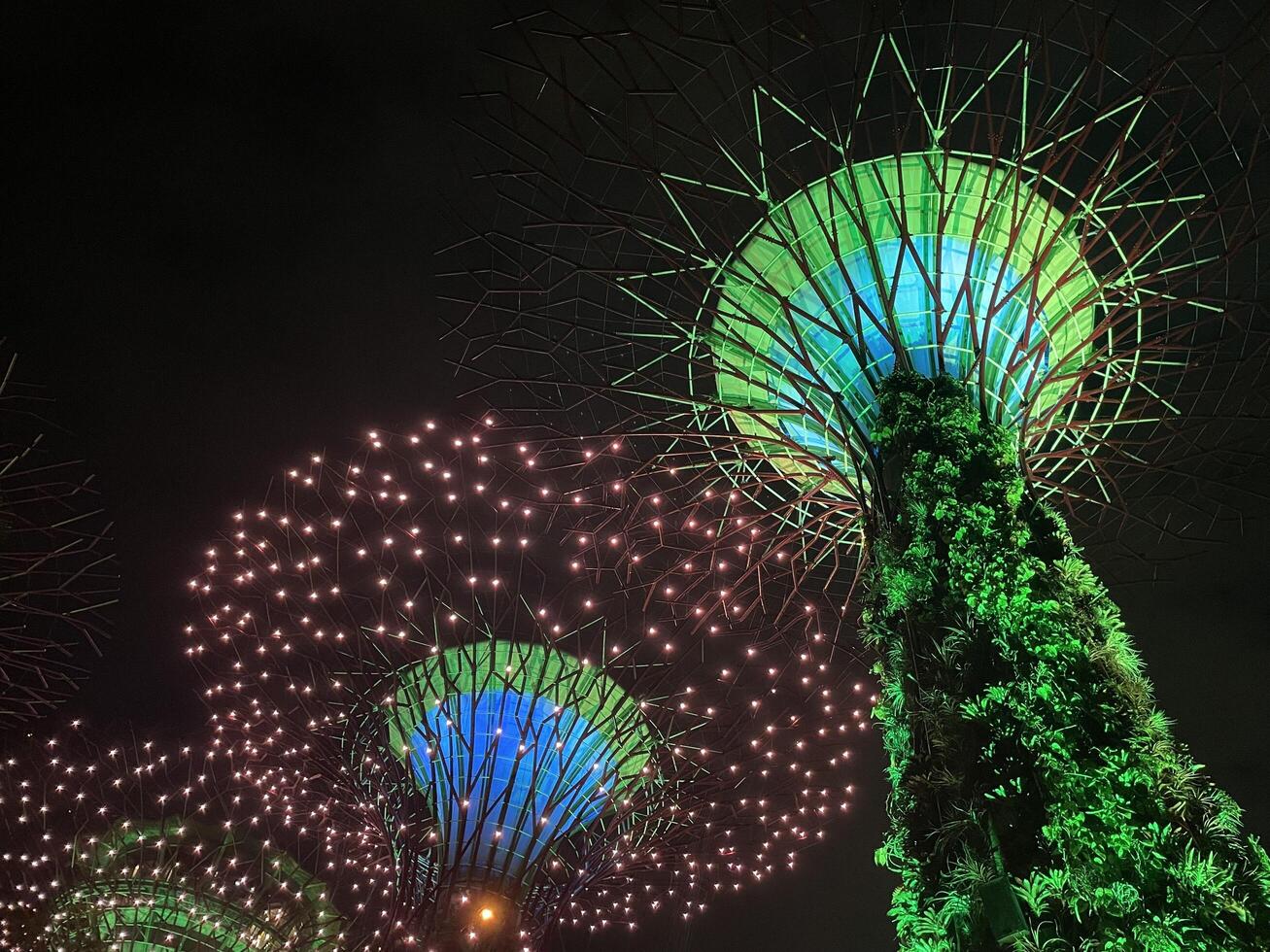 The Gardens By The Bay illuminated light show the supertree to life with a colourful light show to music Singapore 10 July 2024 photo