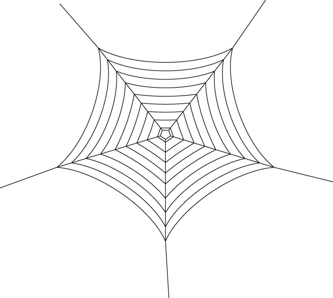 Spider web line art vector
