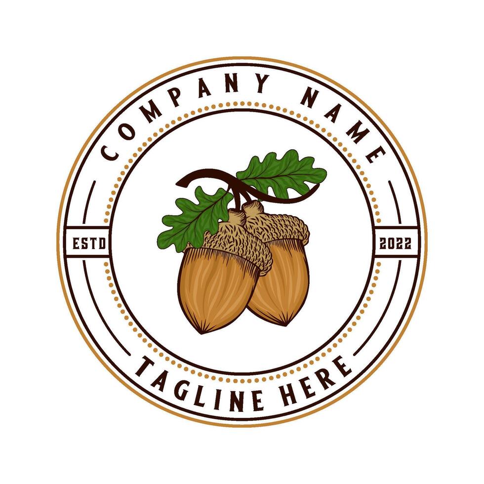 acorn vintage logo design. acorn in emblem form concept vector