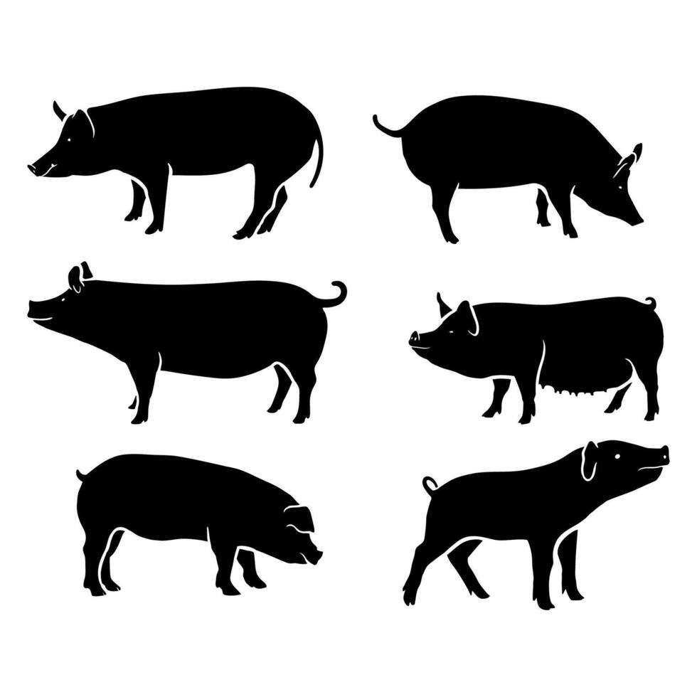 silhouette black pig illustration collection. vector