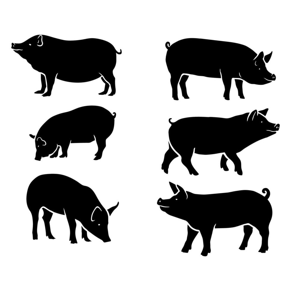 silhouette black pig illustration collection. vector