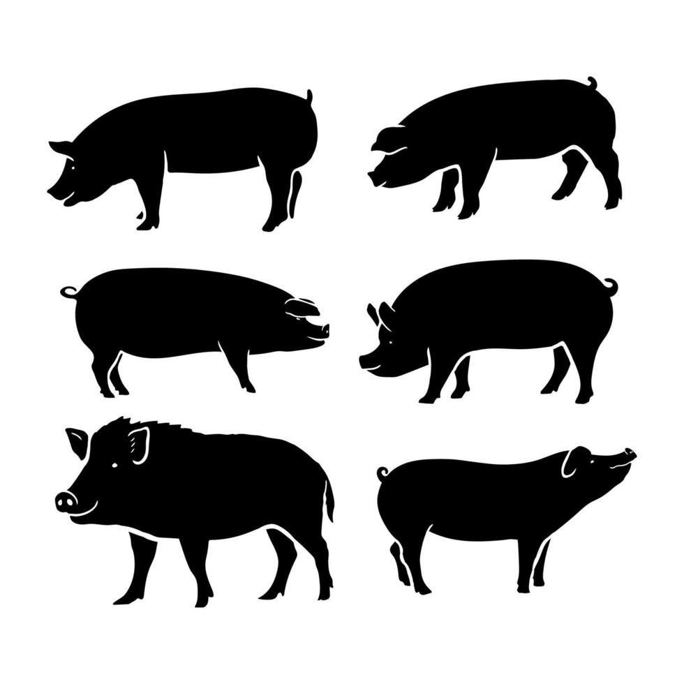 silhouette black pig illustration collection. vector