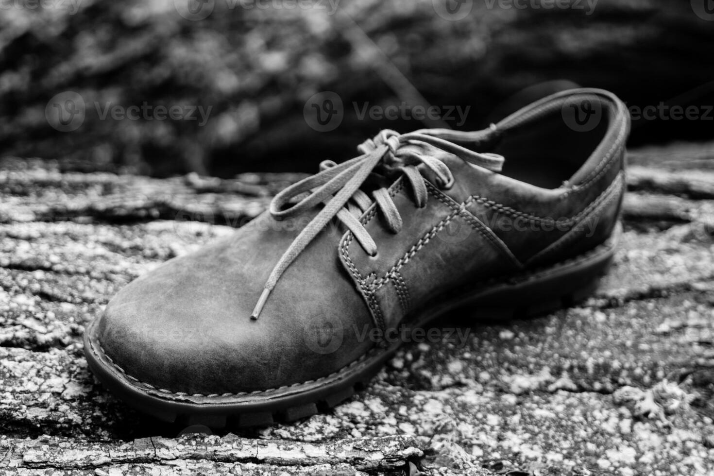 New stylish brown men's shoes. photo
