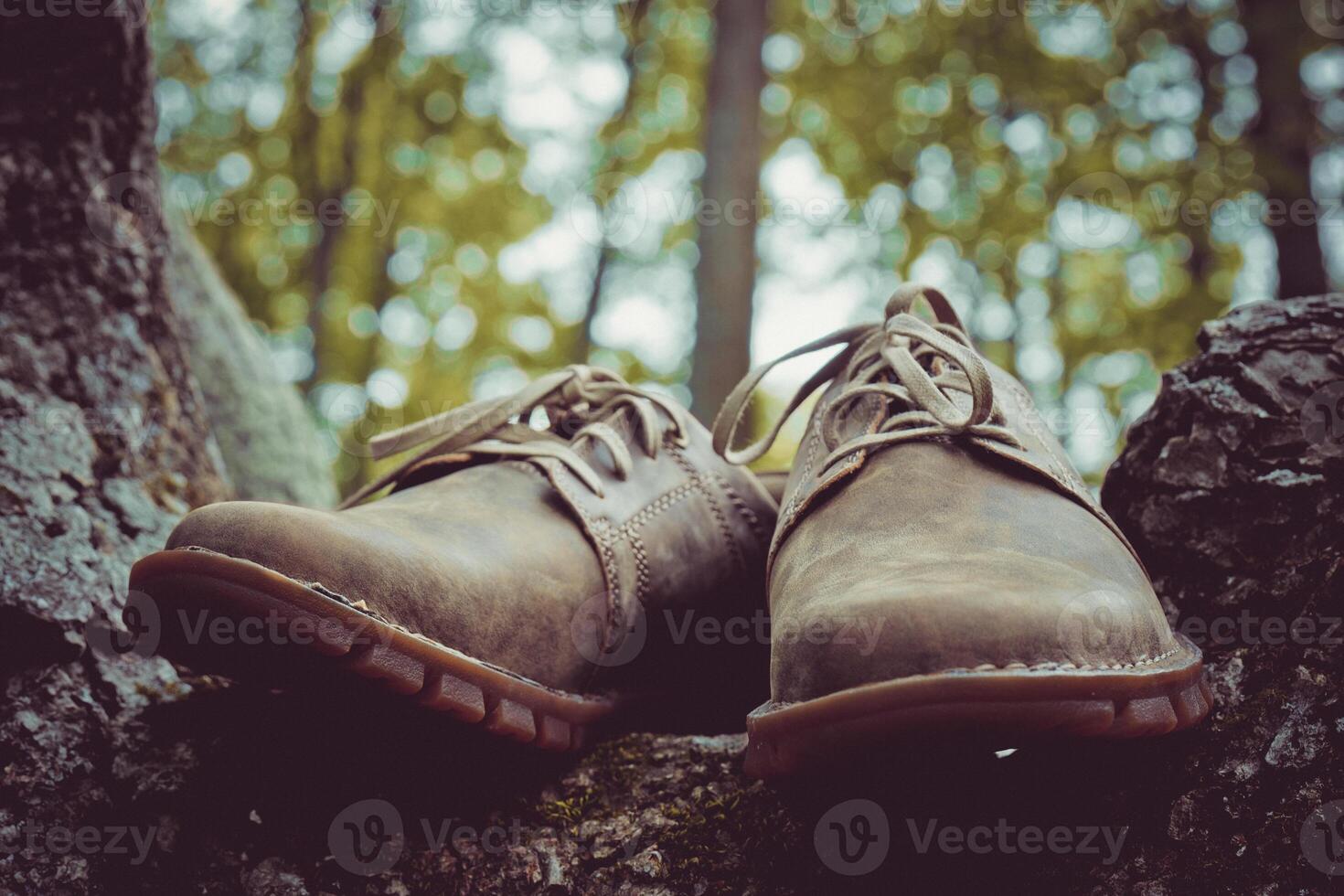 New stylish brown men's shoes. photo