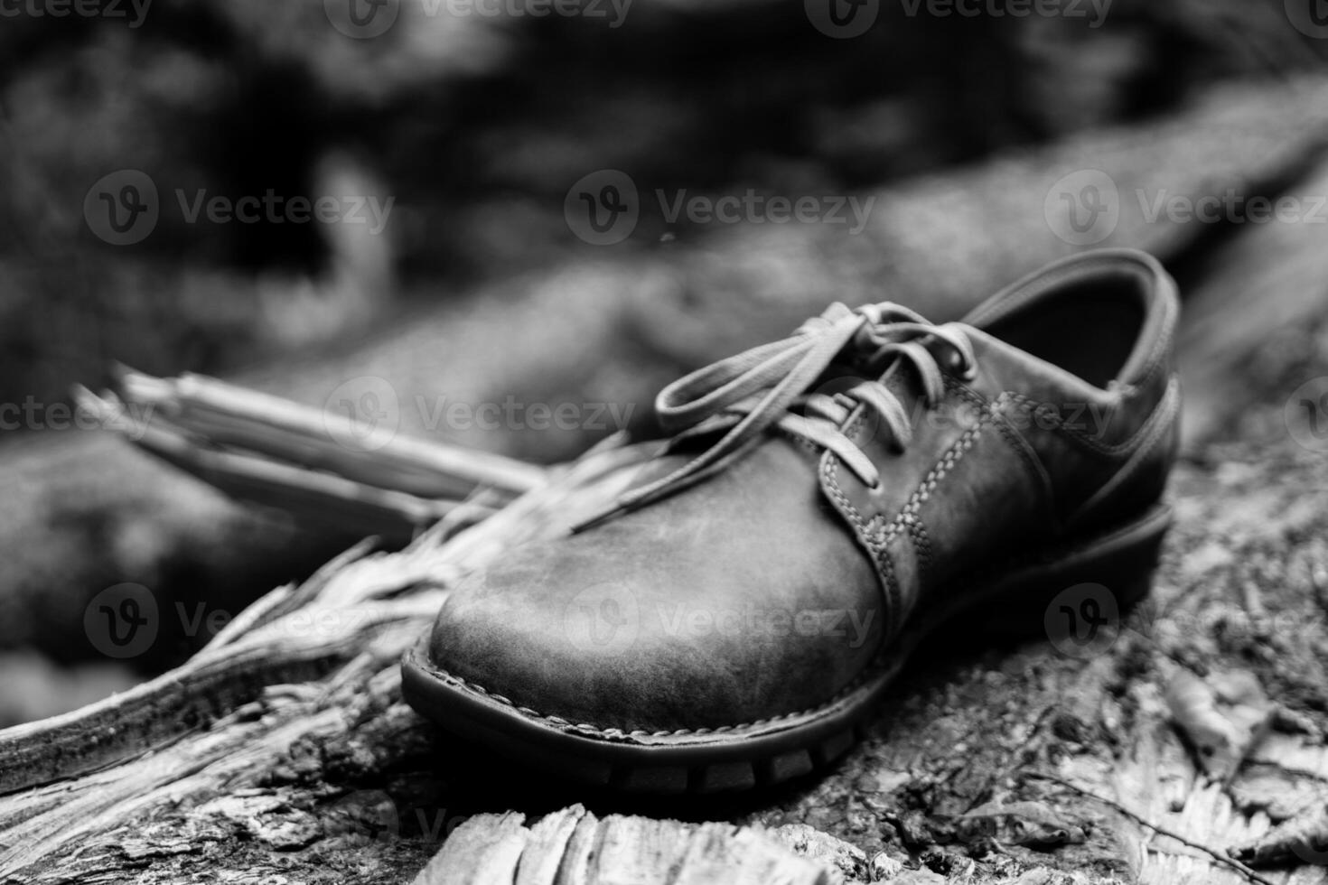 New stylish brown men's shoes. photo