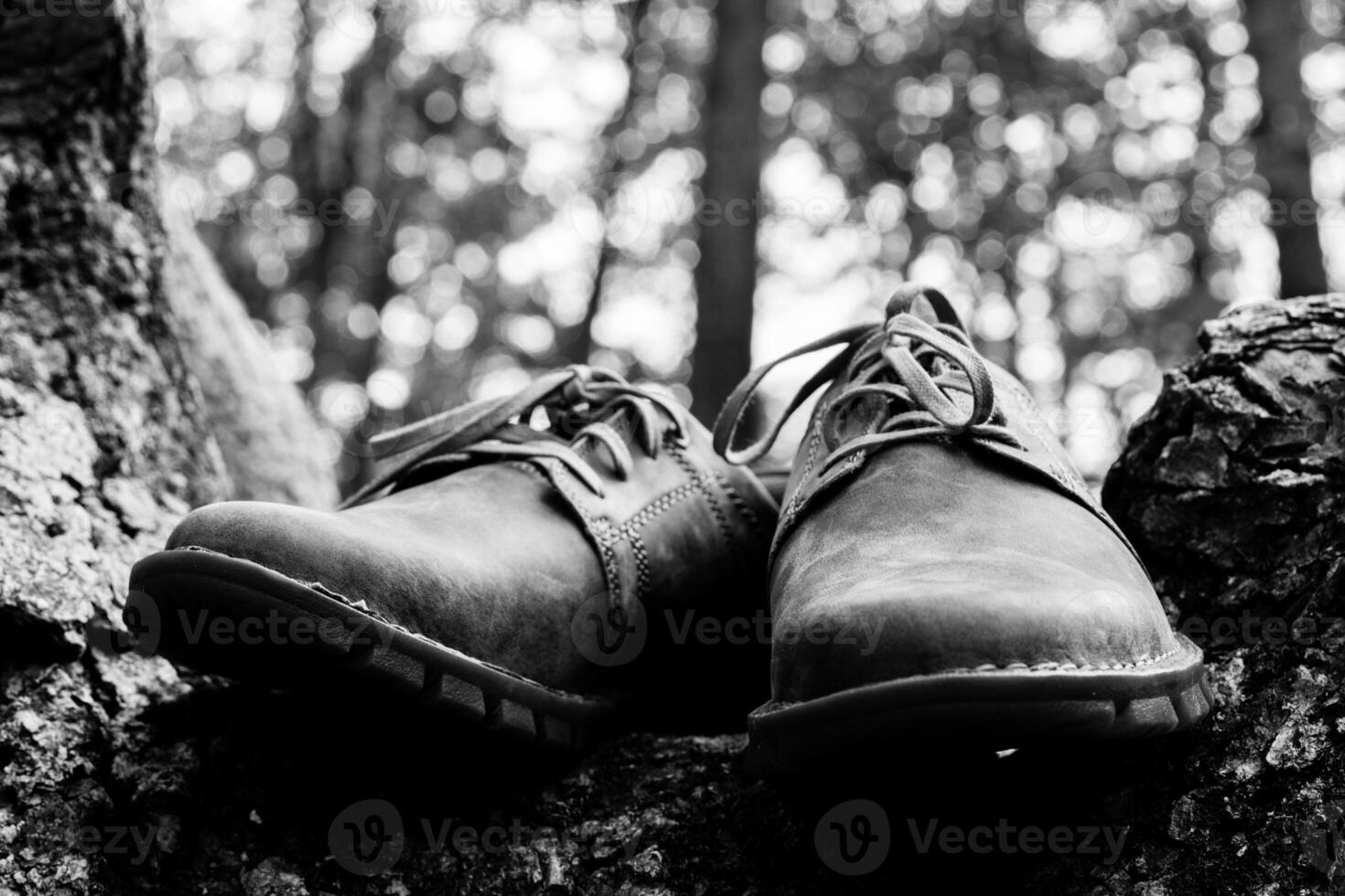New stylish brown men's shoes. photo