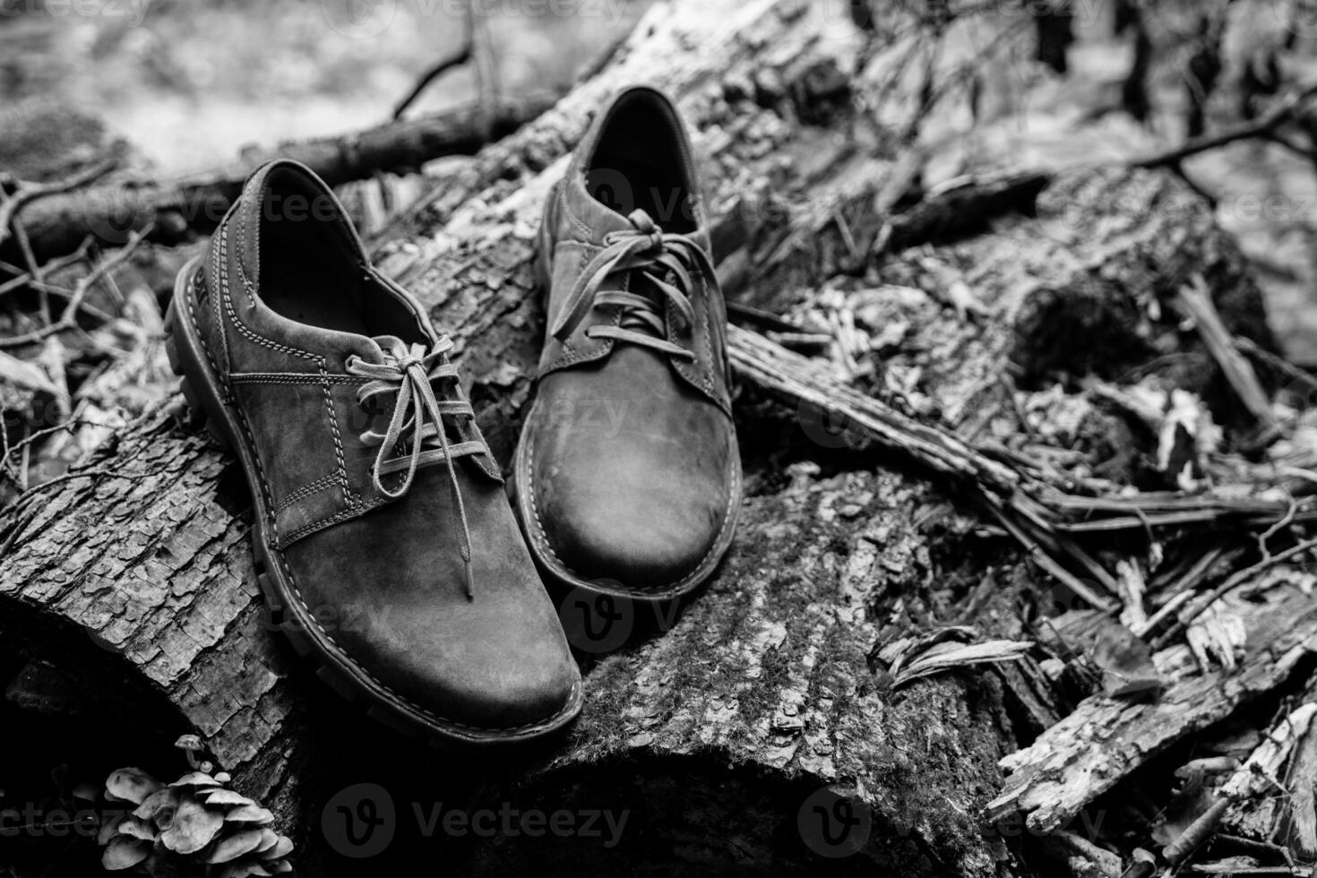 New stylish brown men's shoes. photo