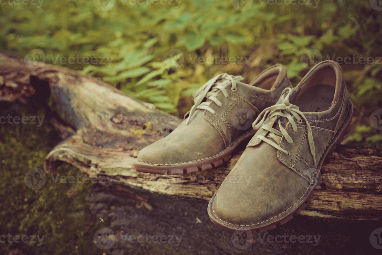 New stylish brown men's shoes. photo