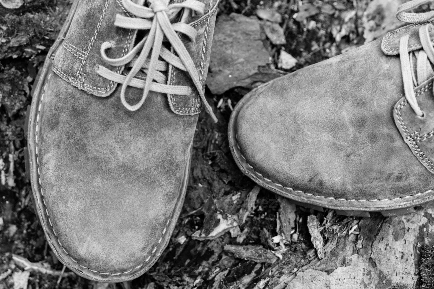 New stylish brown men's shoes. photo
