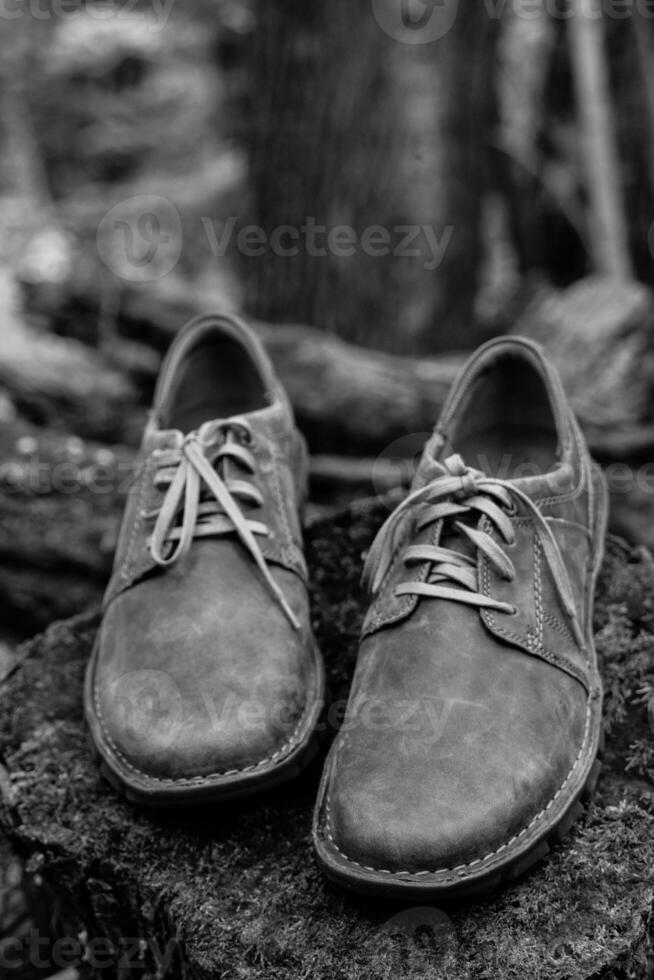New stylish brown men's shoes. photo