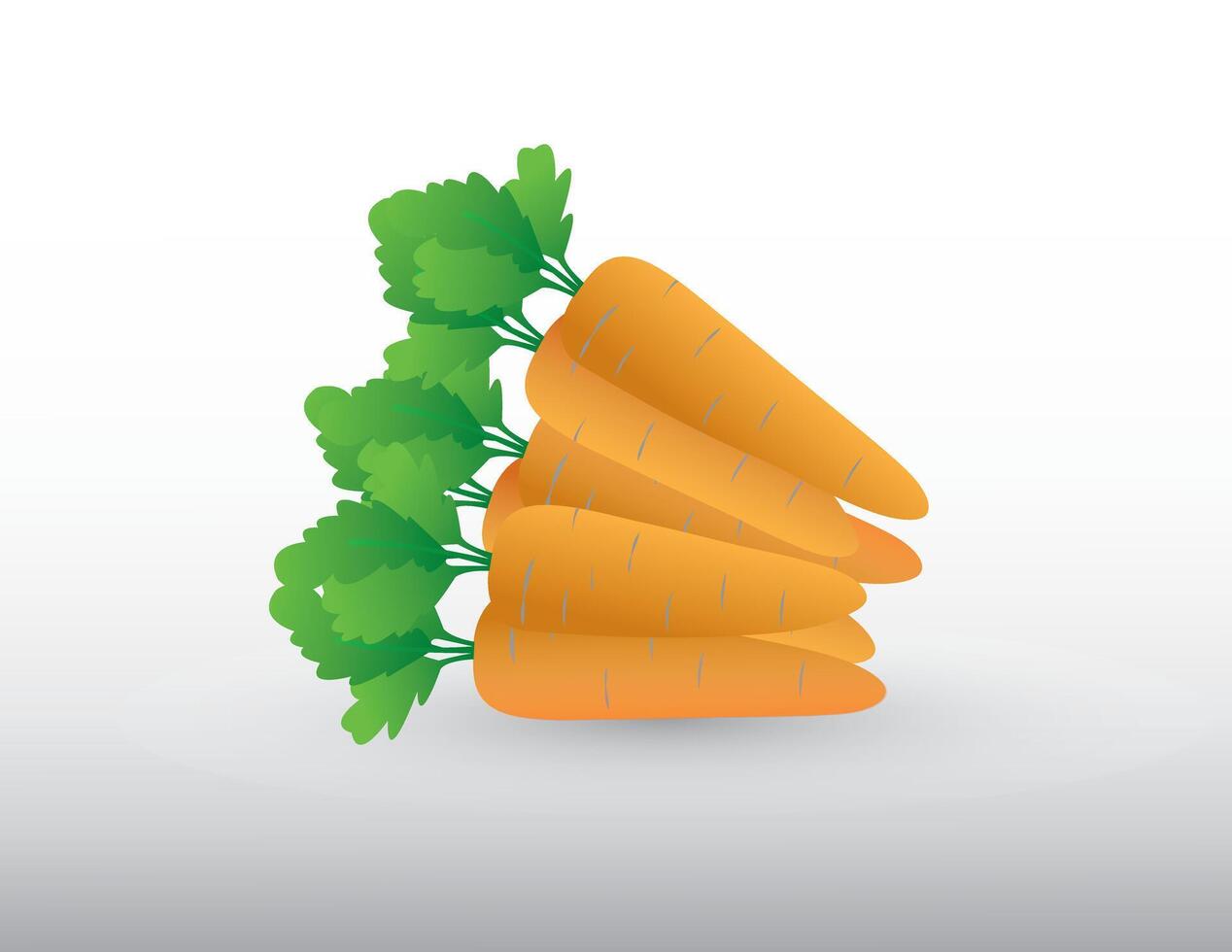A bunch of orange fresh carrot vegetables for cooking on white background illustration vector