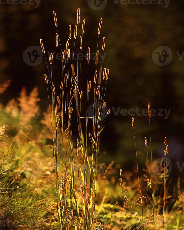 Green plants close view background. Natual plant photo