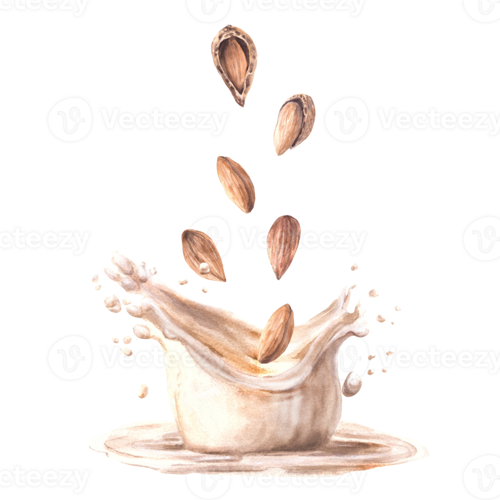 Almond milk drink with milky splash Watercolor peeled and in shell nuts into yogurt, cream. Plant based drink dairy label design. Vegetarian hand drawn healthy food composition on isolated background png