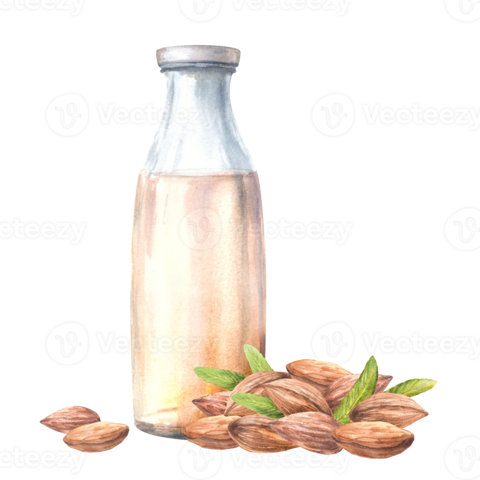 Almond Milk. Glass bottle with nuts and leaves. Watercolor dood and drink composition. Plant based milk. Hand painted dairy, lactose free beverage Clipart for menu, cosmetic label on isolated png