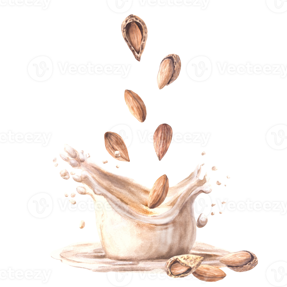 Almond milk drink and dairy splash. Watercolor dropping almonds, peeled and in shell into yogurt, cream. Plant, soy based drink. Vegan product label Hand drawn food composition on isolated background png