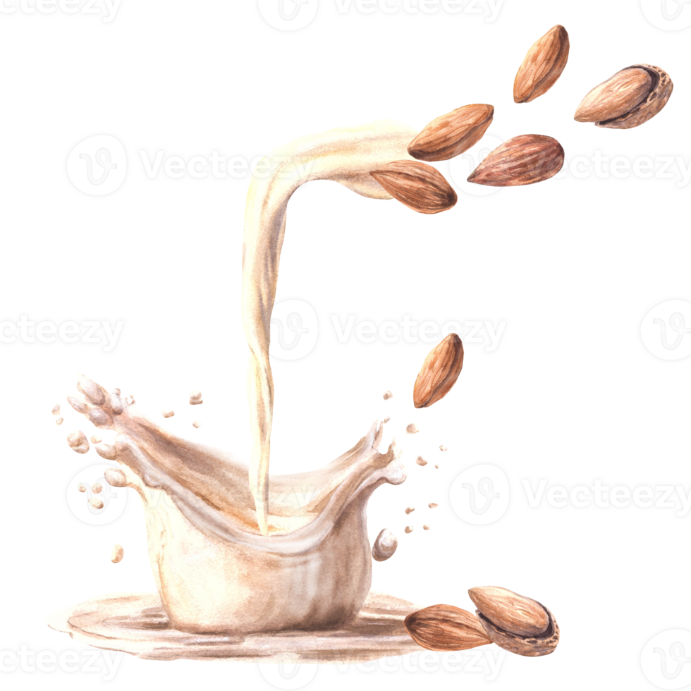 Flowing almond nut milk with milky splashes. Watercolor peeled and in shell nuts for yogurt, cream dairy. Plant based drink label. Vegetarian hand drawn healthy food composition on isolated background png