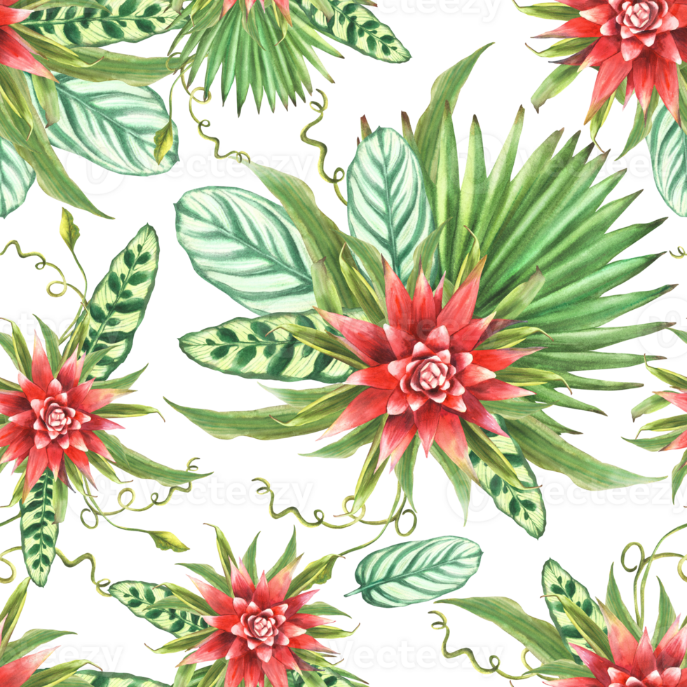 Tropical leaves with red flowers, palm leaf, curly foliage seamless pattern. Watercolor exotic plant Bromeliad bud floral Hawaiian fabric design Watercolor painted illustration on isolated background png