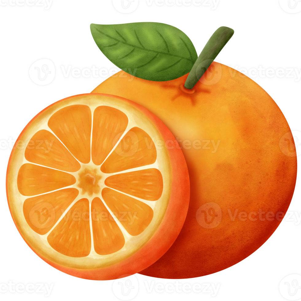 Orange fruit of summer png