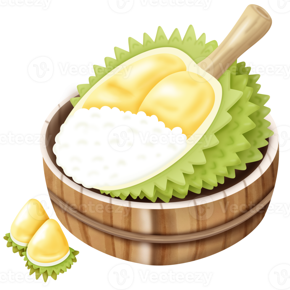 Durian fruit section png