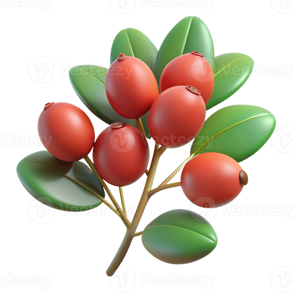 Cartoon barberry berries illustration isolated on the transparent background png