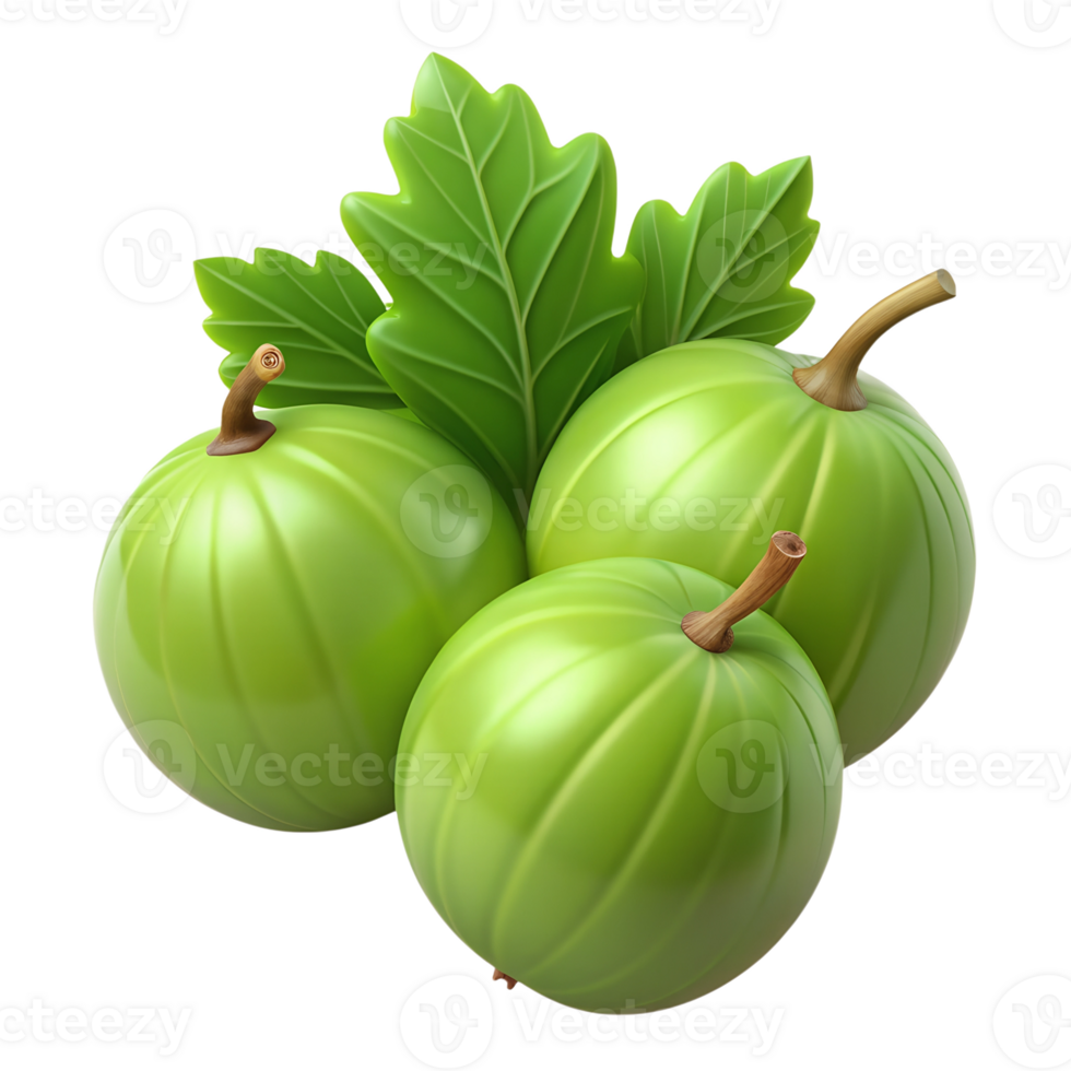 Cartoon gooseberry berries illustration isolated on the transparent background png
