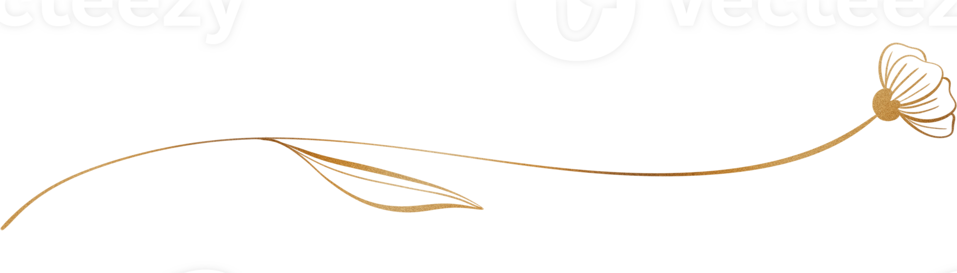 Glitter and gold line png