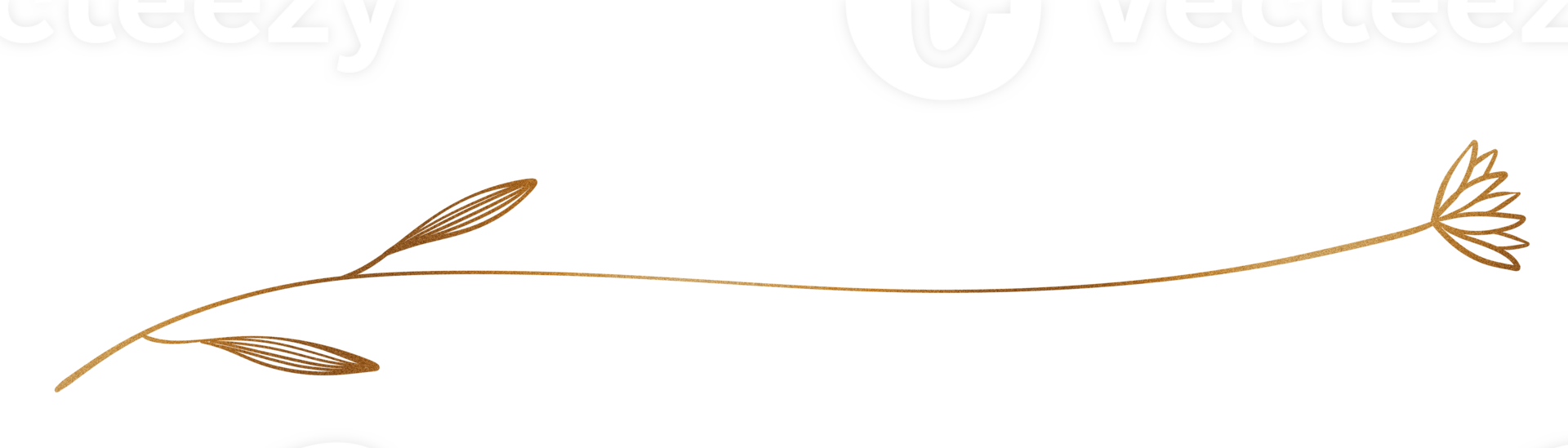 Glitter and gold line png