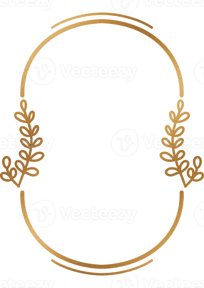 Luxury shape and frame png