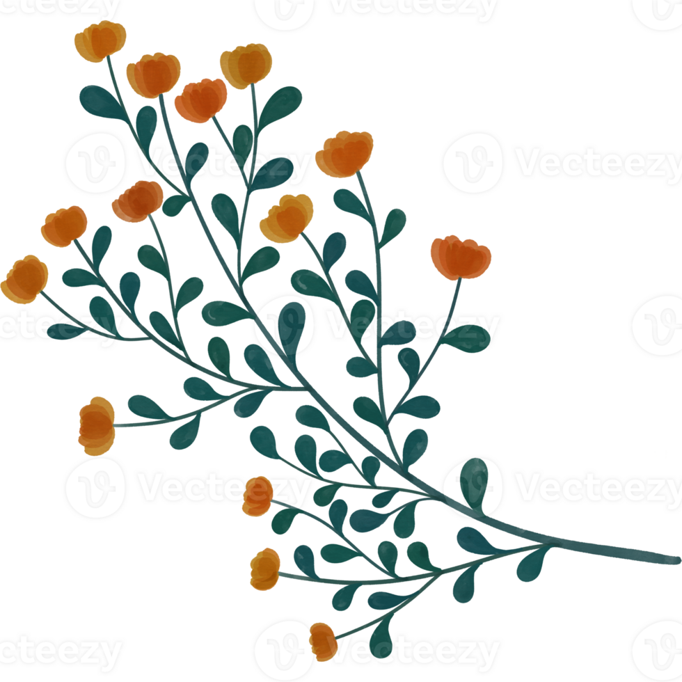 Spring and flowers png