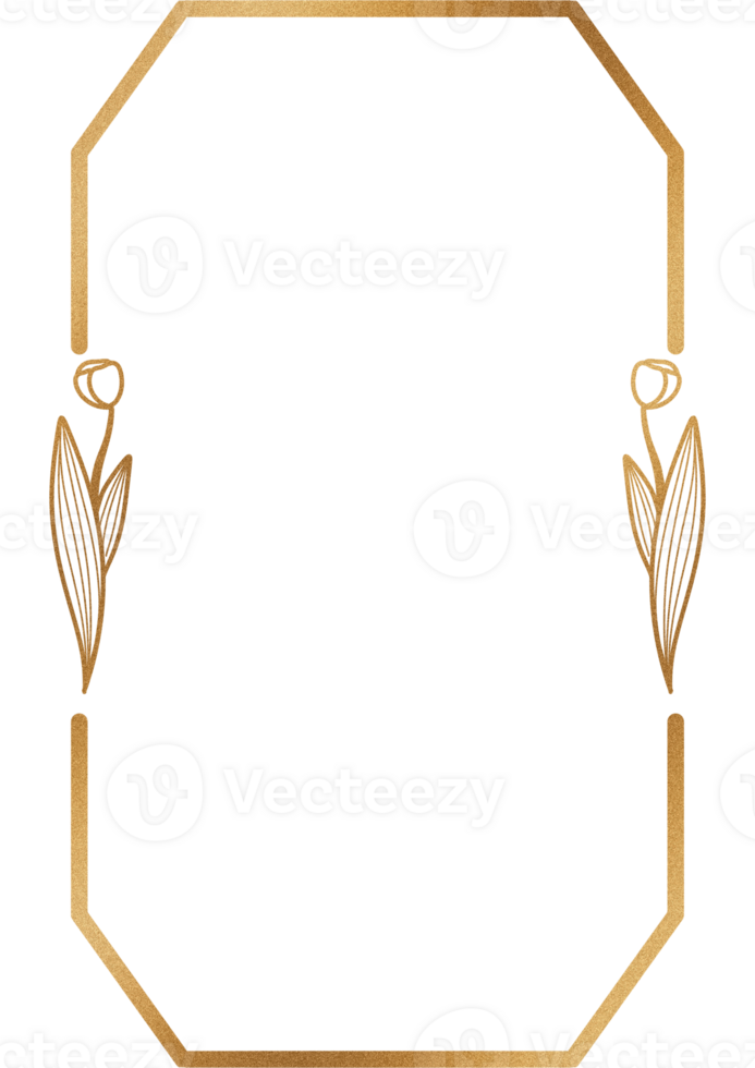 Cadre décoratif ornement png