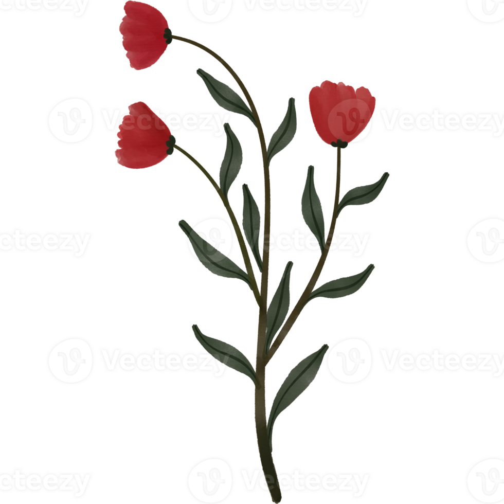 Spring and flowers png