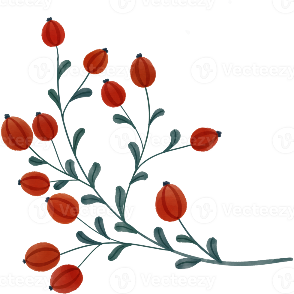 Spring and flowers png