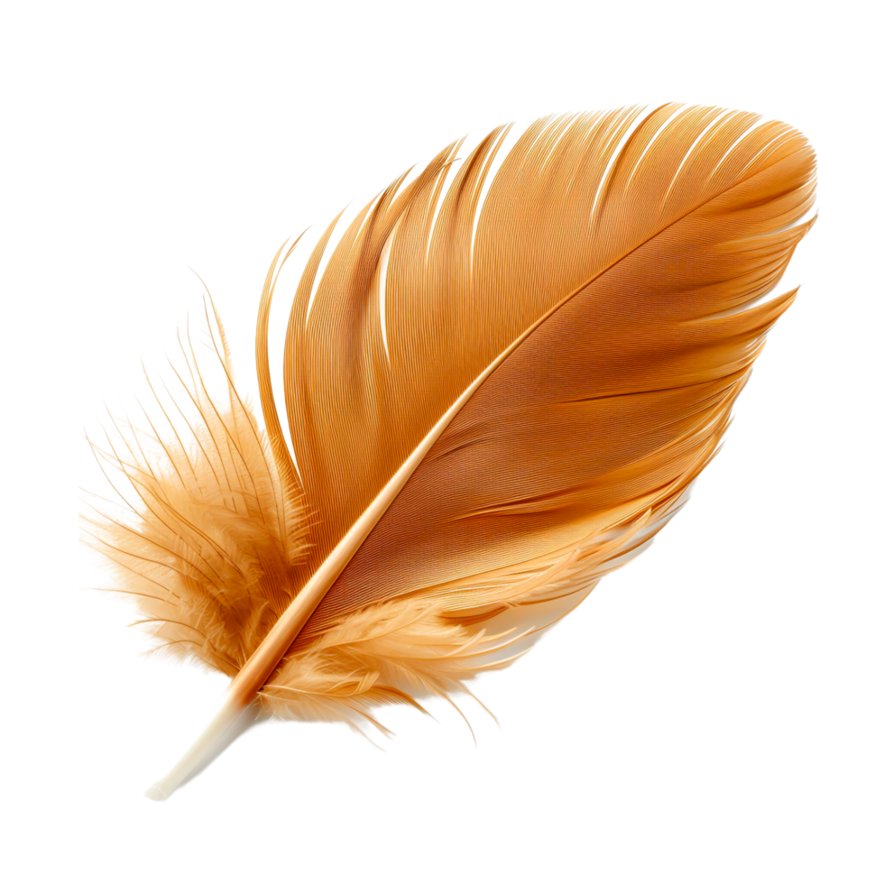 Close-Up of a Delicate Feather Showing Soft and Fluffy Texture png