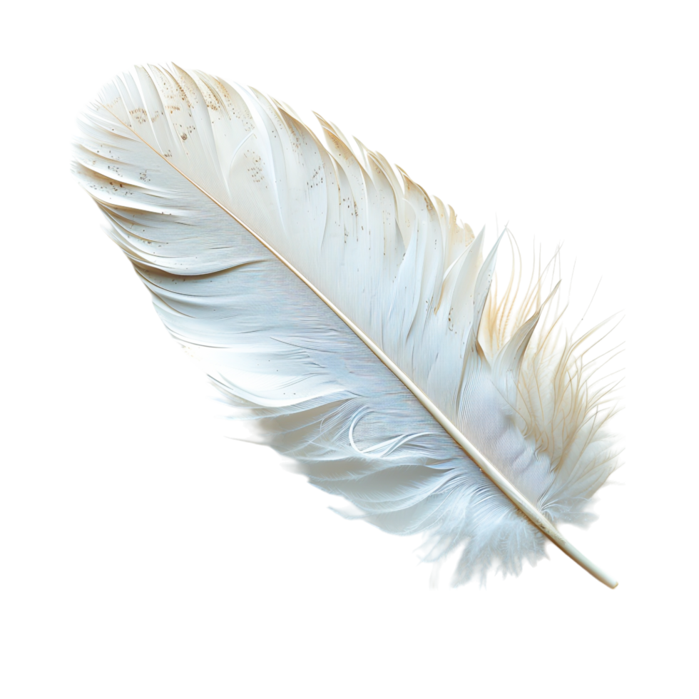 Close-Up of a Delicate Feather Showing Soft and Fluffy Texture png
