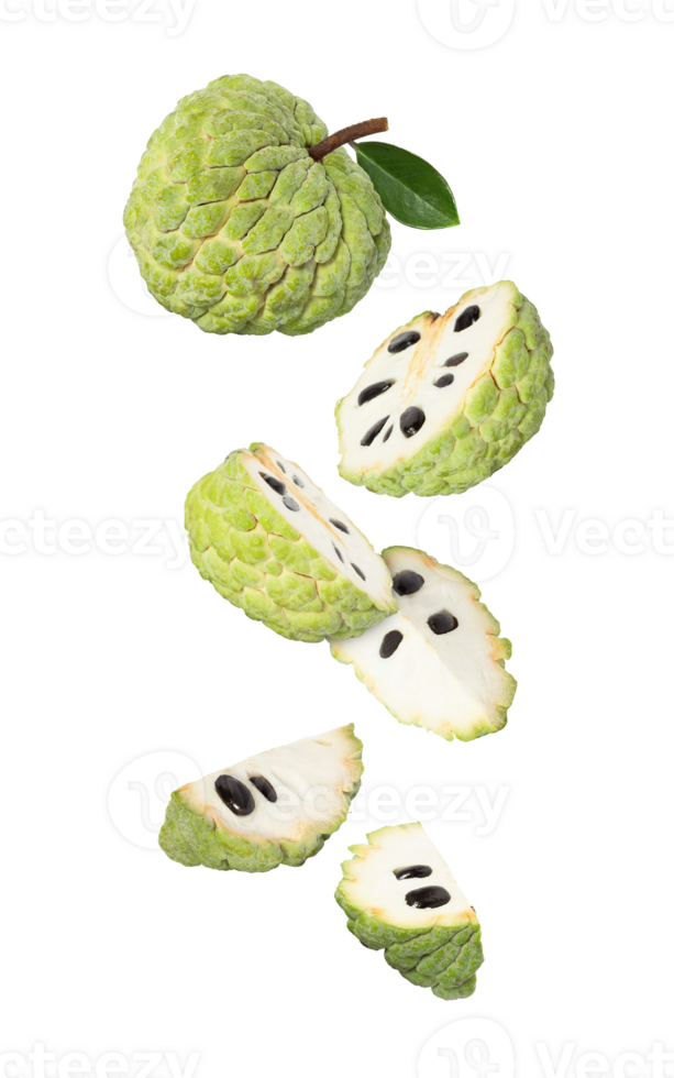 custard apple falling, cutout, full depth of field png