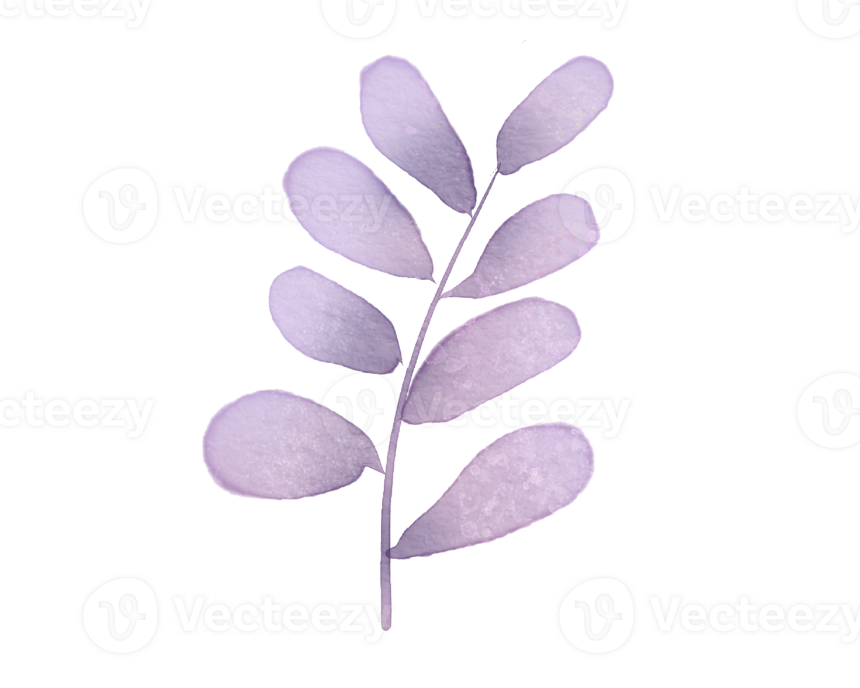 Purple leaf watercolor clip art. png