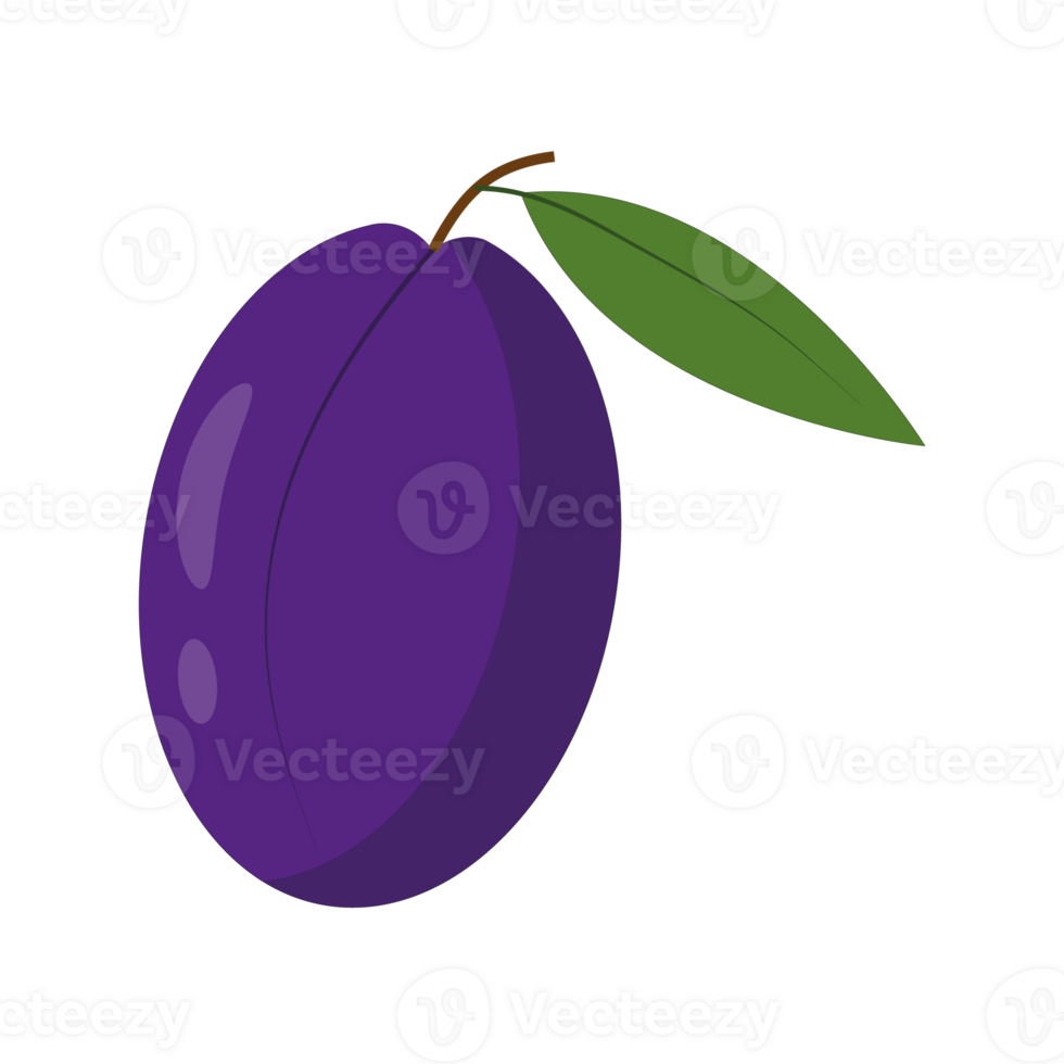 Plum icon isolated. Flat illustration. png