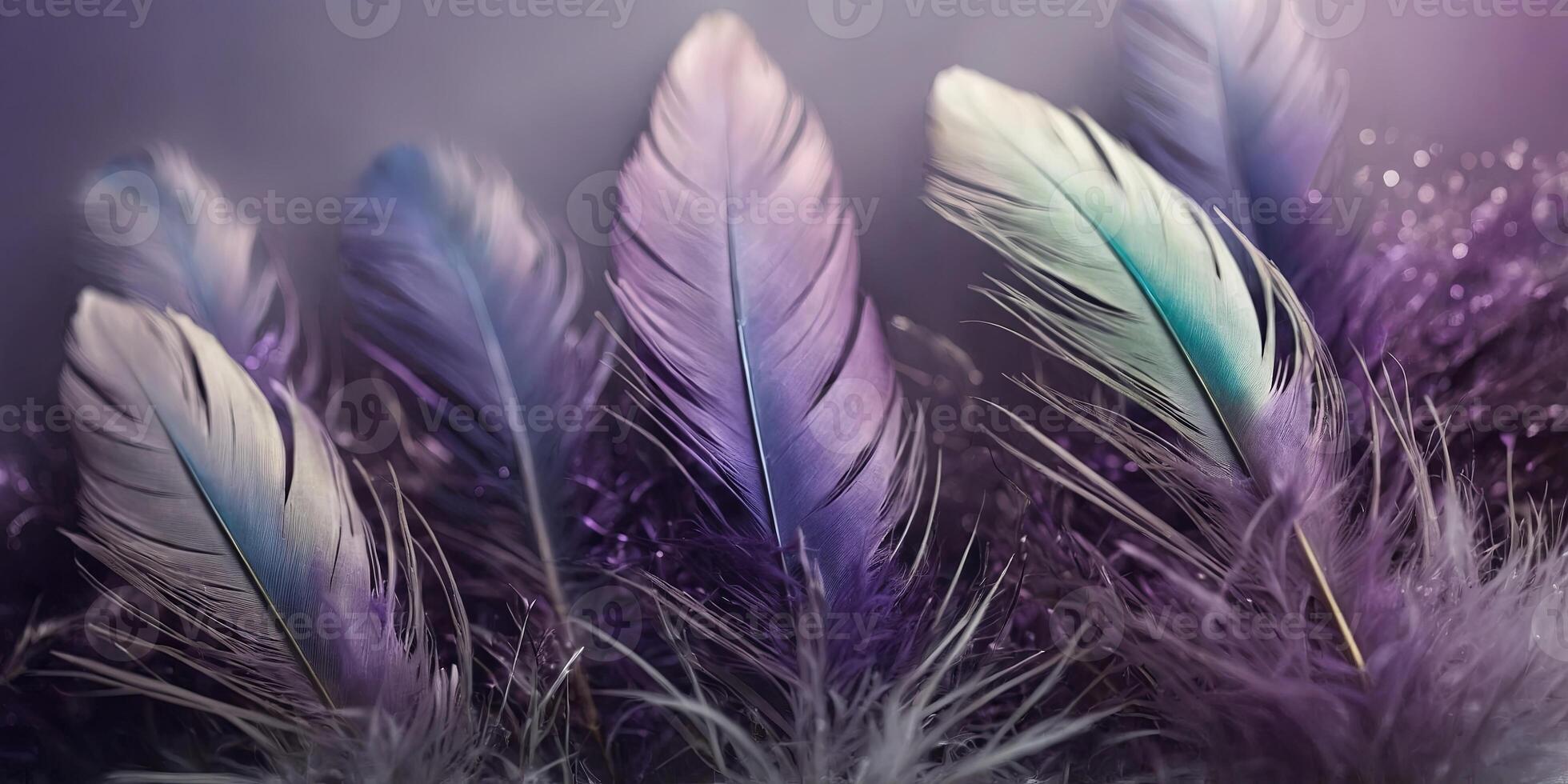 The soft and dreamy purple background enhanced by the colorful feathers. photo